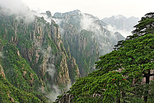 失忆的药在那里能买到C1B8D97C5-18975